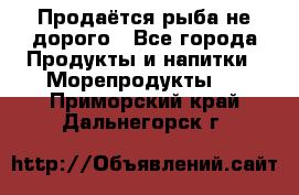 Продаётся рыба не дорого - Все города Продукты и напитки » Морепродукты   . Приморский край,Дальнегорск г.